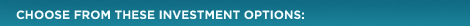 Choose from Three Investment Options: