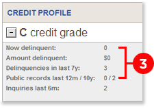Do you have more than one delinquency?