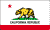California State Flag