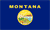 Montana State Flag