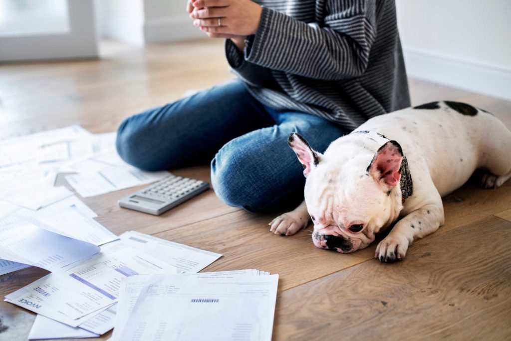 credit card debt