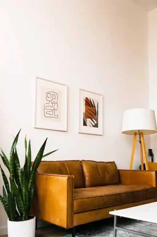 Light brown leather couch, standing lamp, indoor plant, and framed artwork on a white wall.