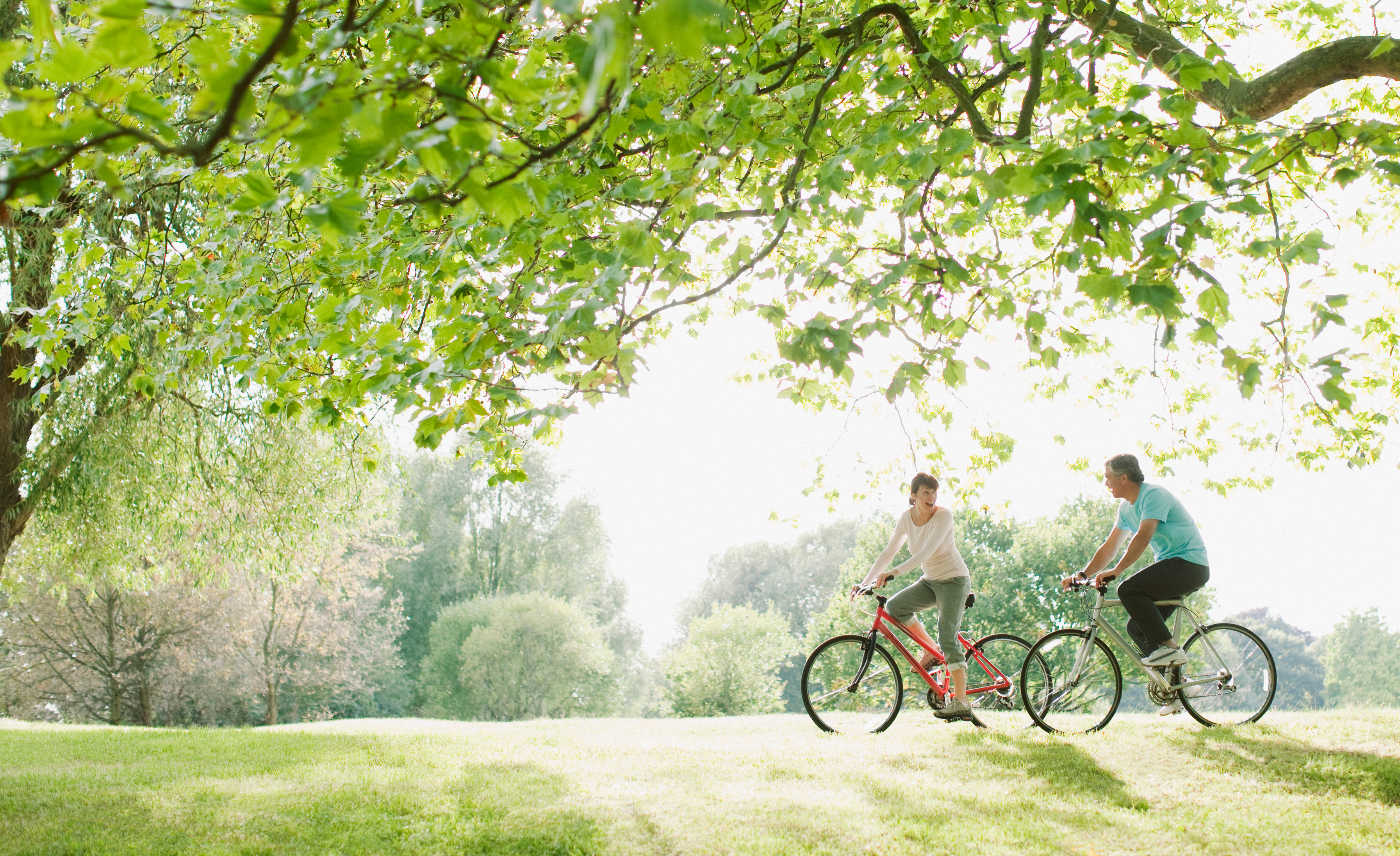 iStock-108359509.png